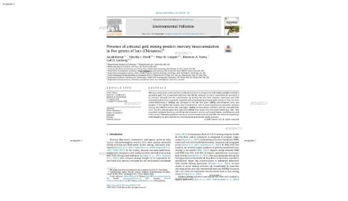 Presence of artisanal gold mining predicts mercury bioaccumulation in five genera of bats (Chiroptera)*